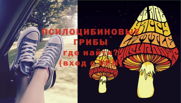 ECSTASY Заволжск