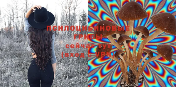 ECSTASY Заволжск