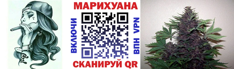 Купить где  Кимовск  Бошки Шишки THC 21% 